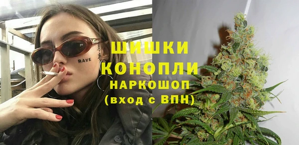 твердый Коряжма