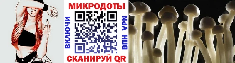 Купить где Аткарск Галлюциногенные грибы мухоморы